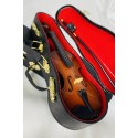 Poupée Lilou et son Violon Fashion Friends - Ruby Red