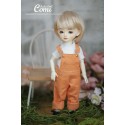 Poupée BJD Mini Mieco Garçon 22 cm