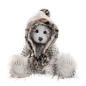 Ours Snowslide - Charlie Bears en Peluche 2021