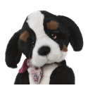Chien Didling - Charlie Bears en Peluche 2024