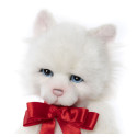 Chat Potton - Charlie Bears en Peluche 2024