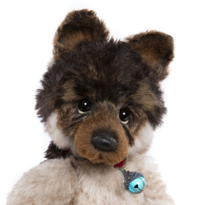 Chien Middlebiggin - Isabelle Collection 2025