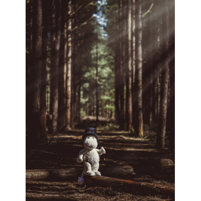 Peluche MoominPappa - Charlie Bears en Peluche 2025