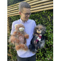 Duo Ours Bonfire Toffee et Panda Treacle Toffee - Charlie Bears
