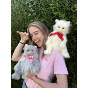 Duo Chats Potton et Dibbinsdale - Charlie Bears Peluche