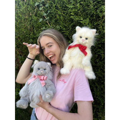 Duo Chats Potton et Dibbinsdale - Charlie Bears Peluche