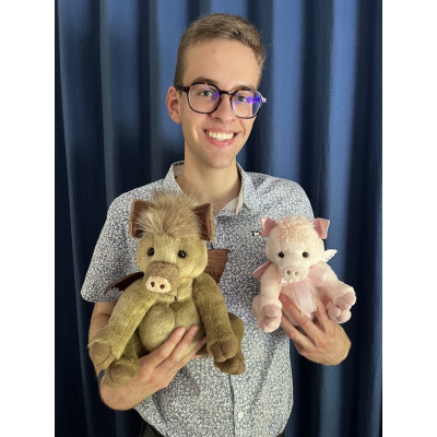 Duo Sanglier Hogwash et Cochon Pigasus - Charlie Bears Peluche