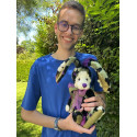 Lapin Phlox - Charlie Bears en Peluche 2022