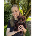 Pluto Bear - Charlie Bears Plush 2023