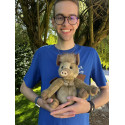 Hogwash Flying Boar - Charlie Bears Plush Toy 2024