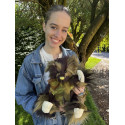 Ours Moss - Charlie Bears en Peluche 2024