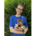 Vache Alpine - Charlie Bears en Peluche 2024