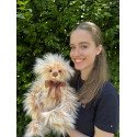 Ari Bear - Charlie Bears Plush 2024