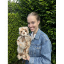 Panda Heartwood - Charlie Bears en Peluche 2024