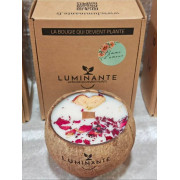 Handmade scented candle,...