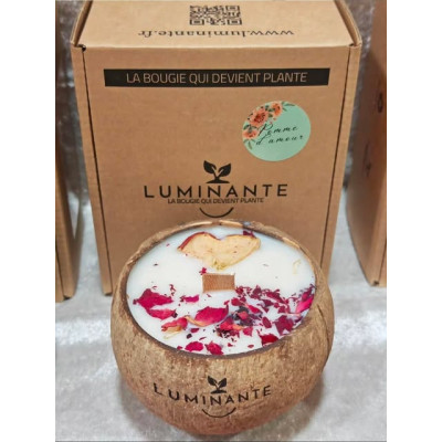 Handmade scented candle, Candy Apple - Luminous