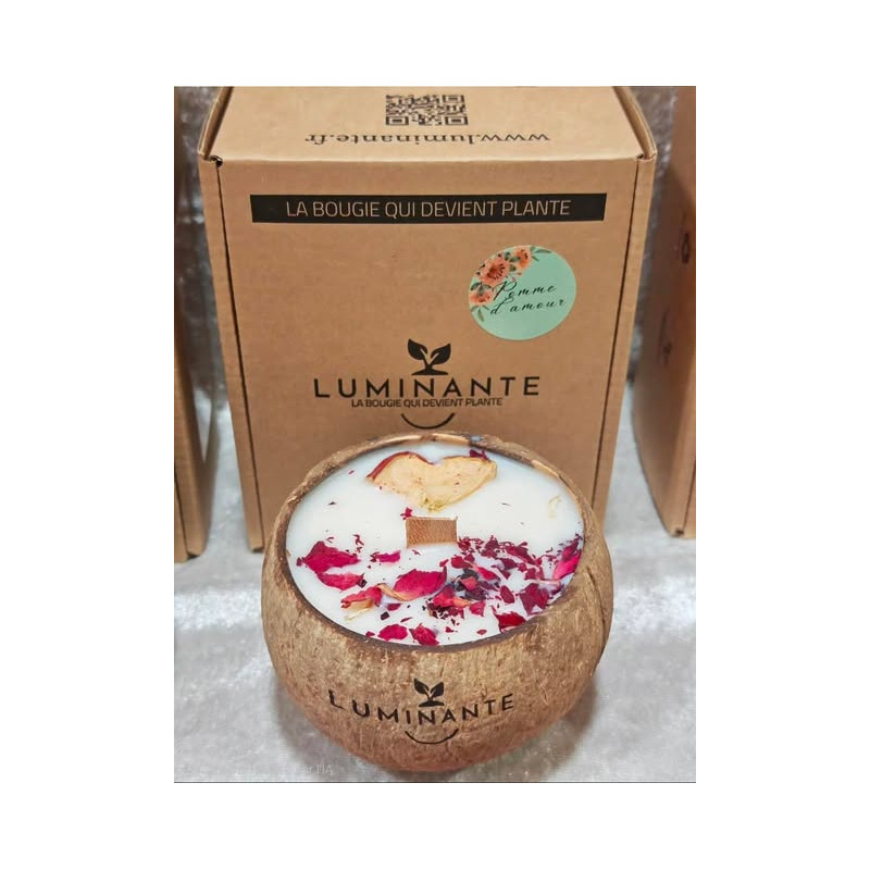 Bougie Artisanale Parfum Pomme D’amour - Cire De Soja - Fait Main - Rose