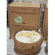Bougie parfumée artisanale Lotus blanc Coton - Luminante