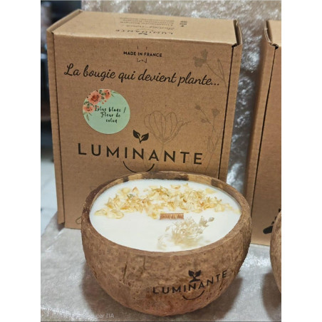 Handmade scented candle, white lotus and cotton - luminous