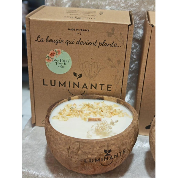 Bougie parfumée artisanale Lotus blanc Coton - Luminante