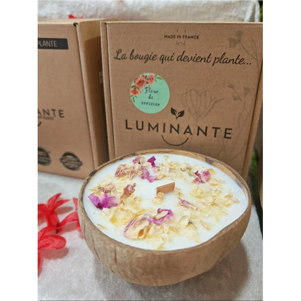 Bougie parfumée artisanale Fleur de Cerisier - Luminante