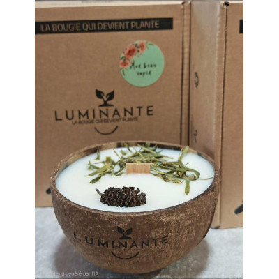 Bougie parfumée artisanale Mon beau Sapin - Luminante
