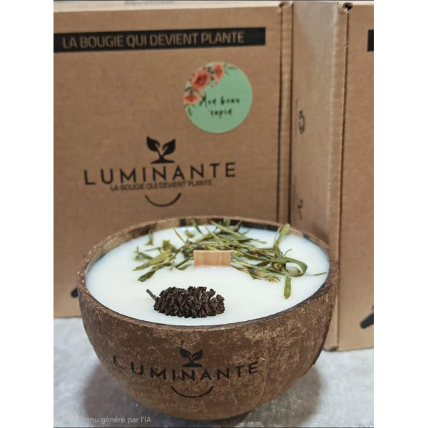 Bougie parfumée artisanale Mon beau Sapin - Luminante