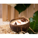 Handmade Vanilla Scented Candle - Luminous