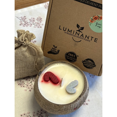 Bougie parfumée artisanale Sucre d'orge - Luminante