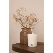 Natural Green Tea Scented...
