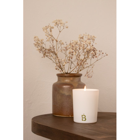 Natural Green Tea Scented Candle - White Candle