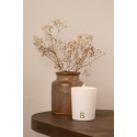 Natural Green Tea Scented Candle - White Candle