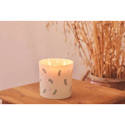 Maxi Natural Gardenia...