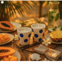 Flowering Musk Coconut Scented Candle - Oali