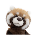 Red Panda Anniversary Ronnie - Charlie Bears Plush Toy 2025