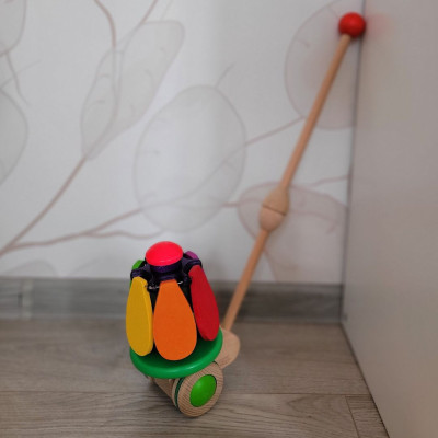 Jouet à pousser Fleur arc-en-ciel en bois - Bajo