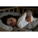 Björn Bear Rechargeable Projector Night Light - Flow Amsterdam