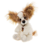 Chien Munchkin - Isabelle...