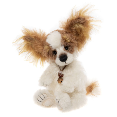 Chien Munchkin - Isabelle Collection 2026