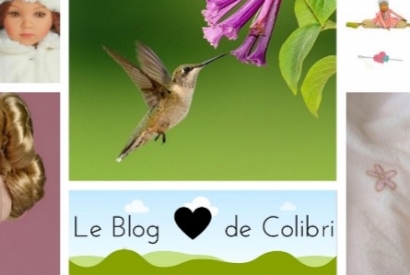 Ouverture officielle du Blog Colibri